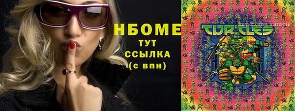 мет Инсар