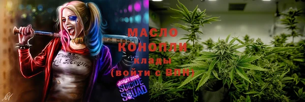 гидропоника Инта